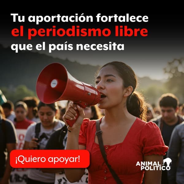 Tragedia en México: Músicos Colombianos Desaparecen y Son Hallados Muertos – Un Análisis Detallado